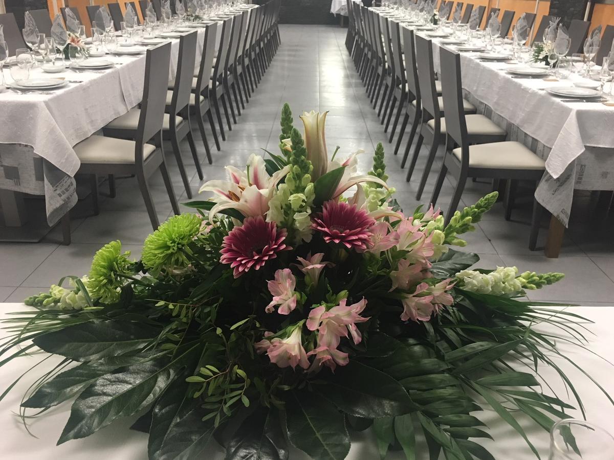 Hotel Hm Alfaro Zewnętrze zdjęcie